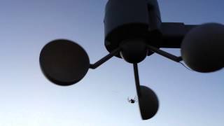 Dedicated Spider