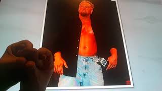 Horacio the handsnake - Justice Pain