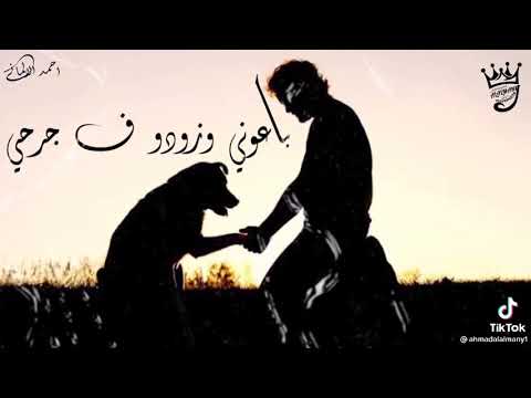 حلات واتس عن الصحاب بقيت باكل مع كلابي