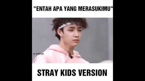 Entah apa yang merasukimu ~~stray kids version