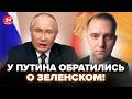 😮Заявление Москвы о ПОХИЩЕНИИ ЗЕЛЕНСКОГО подорвало сеть. Не поверите, КАКУЮ ДИЧЬ выдали @ВОТЧТО