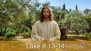 Image of Journey with the Messiah - Luke 9:13-14 HD video