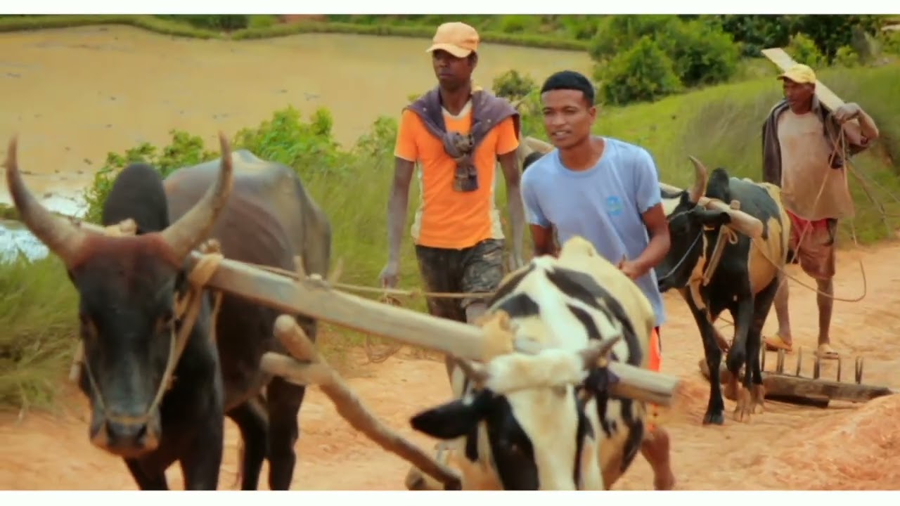 ALOALO Music-Fitadiavana