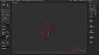 ZTree Tutorial 3