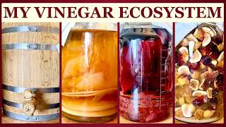 LUXURY VINEGAR SERIES CASK PREP & FIG VINEGAR