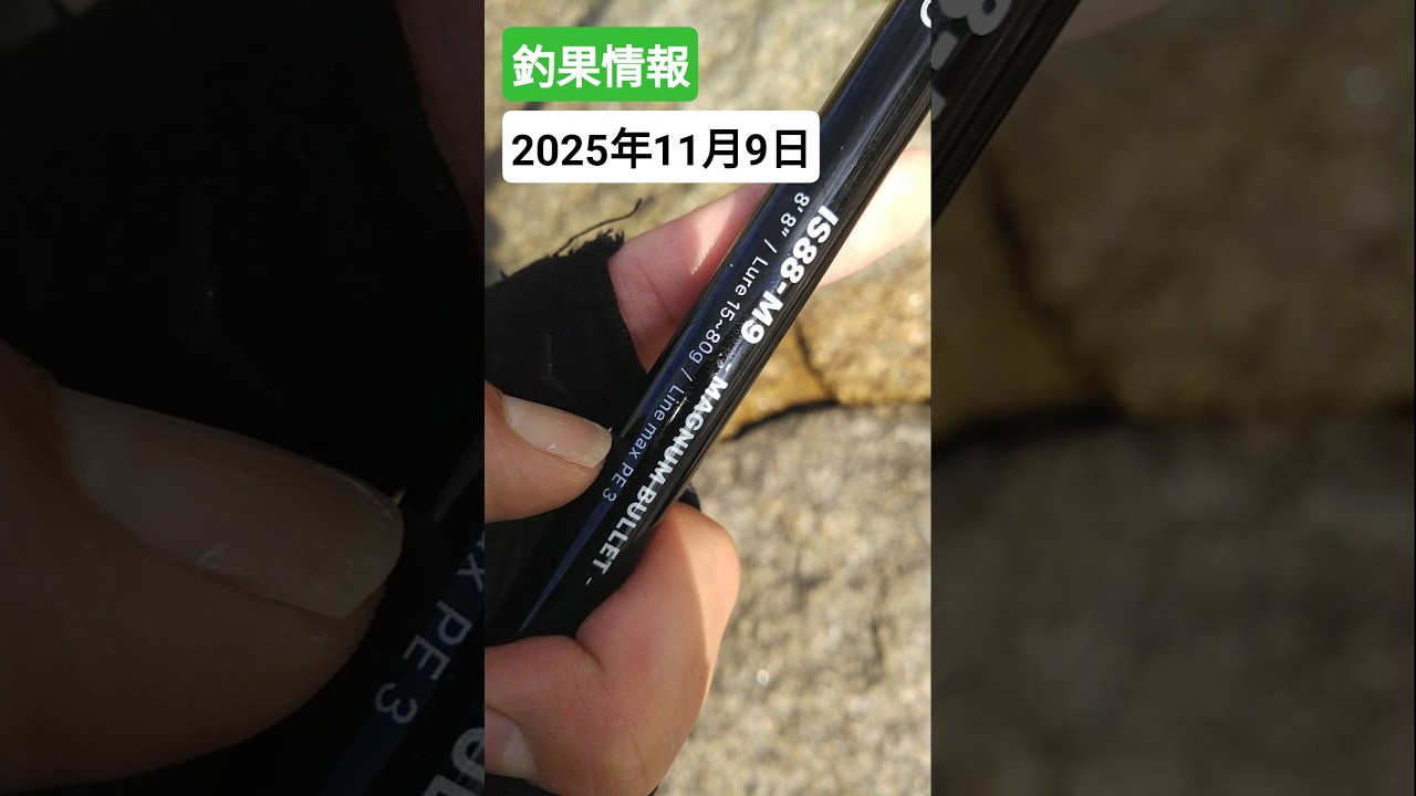 ZENAQ INQLUDE IS88-M9 - MAGNUM BULLET -釣果情報！！！2025年11月9日