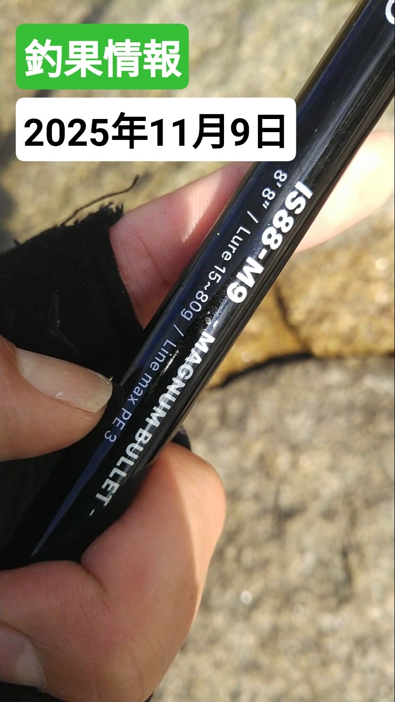 ZENAQ INQLUDE IS88-M9 - MAGNUM BULLET -釣果情報！！！2025年11月9日