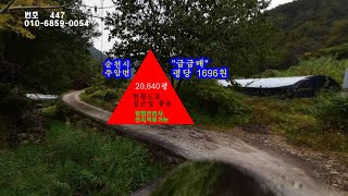 물건번호:447  대형임야  20,640 평당 1696원 보전관리, 준보전산지,현황도로. 순천시주암면  임업관리사 신청, 조림벌목허가로 수익성 있는 목재작물 조림. 밤나무, 잣나무