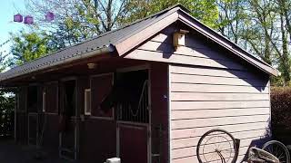 Te Koop Royale Landelijke Woning In De Noordoostpolder, Centraal Gelegen Tussen Lemmer En Emmeloord