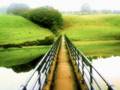 FrancoisK:::::RoadOfLife(QuietVillageRemix)