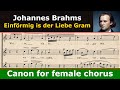 Miniature de la vidéo de la chanson 13 Kanons, Op. 113