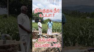 நிலத்தடி நீர் உப்பா