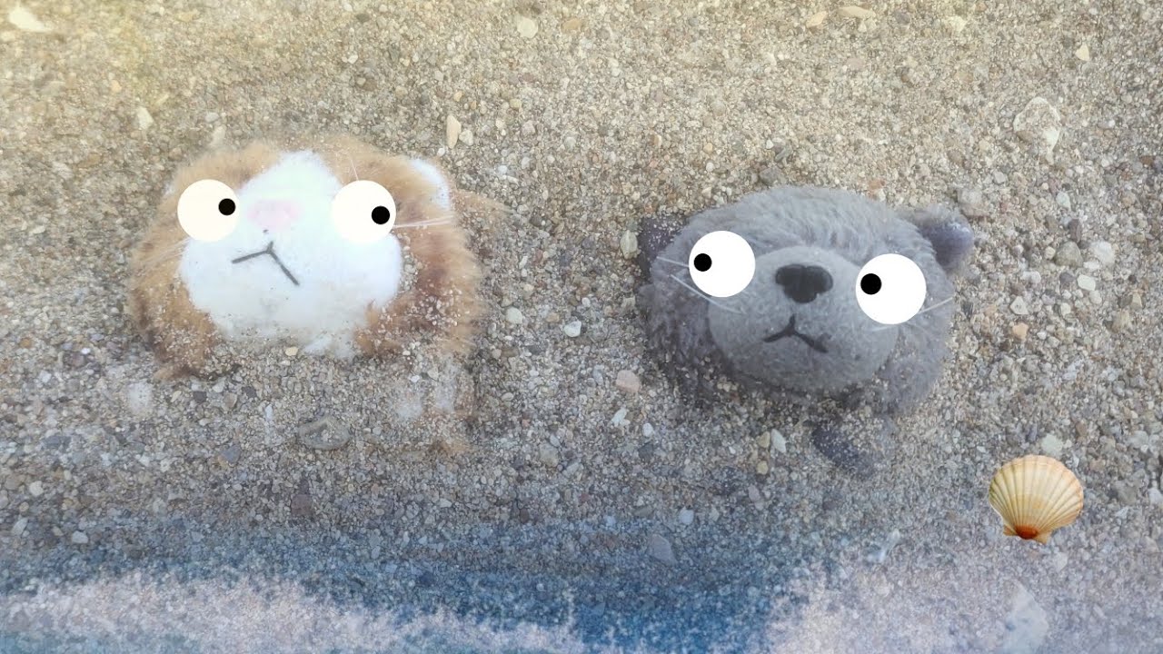 TheCatCollection: Влог#7 (кэты на речке)