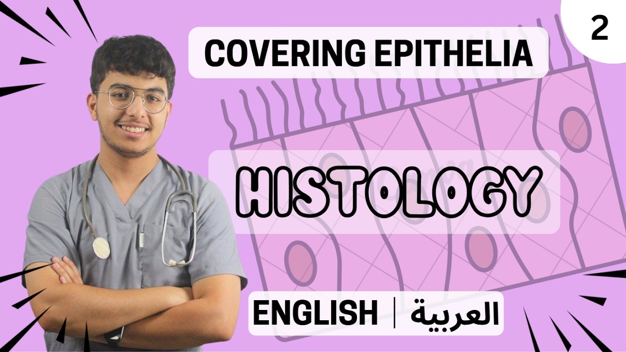 Histology: Covering/Surface Epithelial Tissues | Les épithéliums de revêtement - Part 02