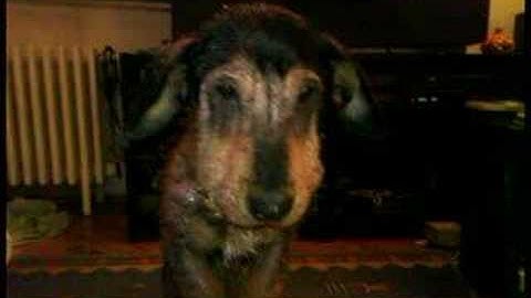 The complexity of reality and the simplicity of illusion