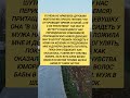 Шутка