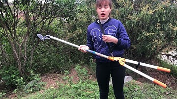 Kéo cắt cành cộng lực cắt những cành to hàng buddy# 0983781388#dungcunongnghiep