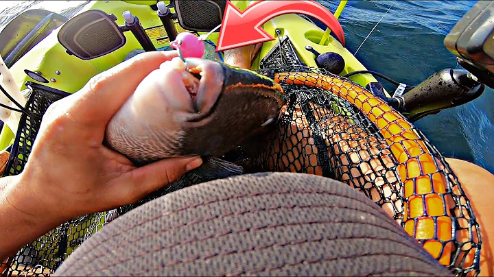 This JIG will help you catch more TRIGGER FISH!! -Offshore Kayak Fishing