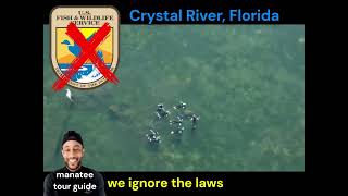laugh at manatee laws