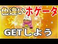 【実践付き】色違いホゲータの入手方法を解説！【ポケモンSV】