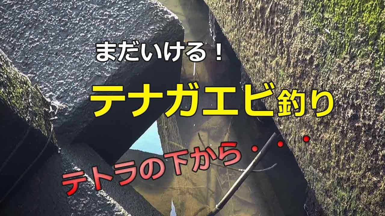 ハゼ釣りがダメなら手長エビ 【小物釣り】 涸沼の釣り