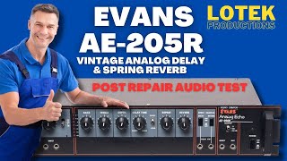 Evans AE-205R Analog Delay and Spring Reverb Post Repair Audio Test (Bucket Brigade Device BBD)