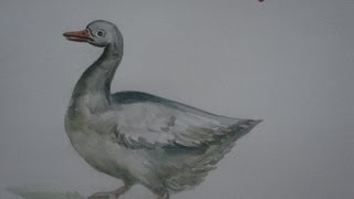 watercolor paint duck