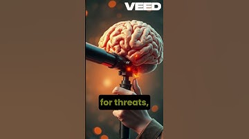 Feeling Watched By Someone?! Is It Just a Shadow?#shorts  #science #facts #doyouknow #mind