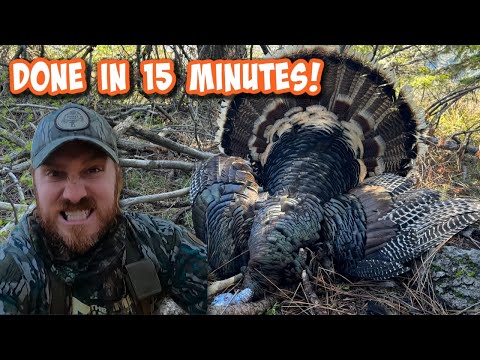 DEAD IN 15 MINUTES!! OREGON PUBLIC LAND!