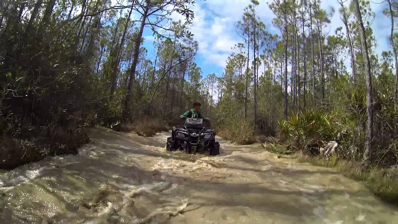 LAST OF A DYIN' BREED - Southern Mudd Junkies - CANAL RD - Lynyrd Skynyrd