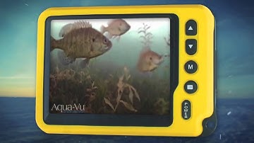 Combining Sonar With Underwater Cameras