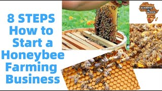 Become a Beekeeper: 8 Steps to Getting Started with Honeybees • The Prairie  Homestead