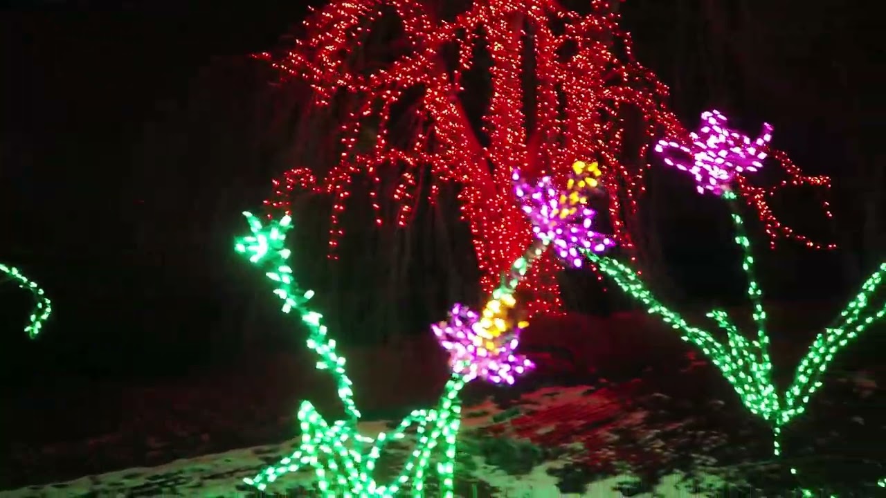 Brookside Gardens in Wheaton Maryland during their Holiday Garden in Lights Display