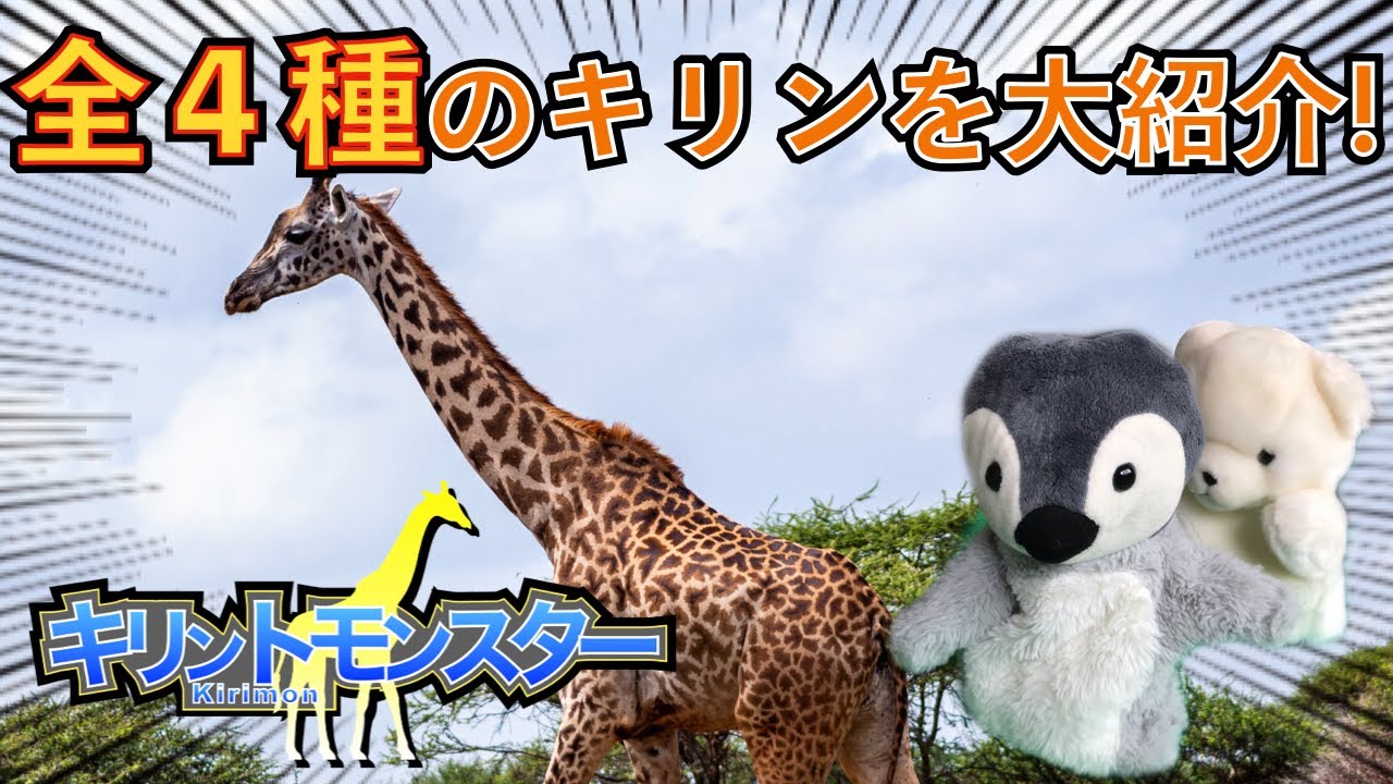 キリンは1種類ではなく4種類いるらしい【ゆっくり解説】 - YouTube