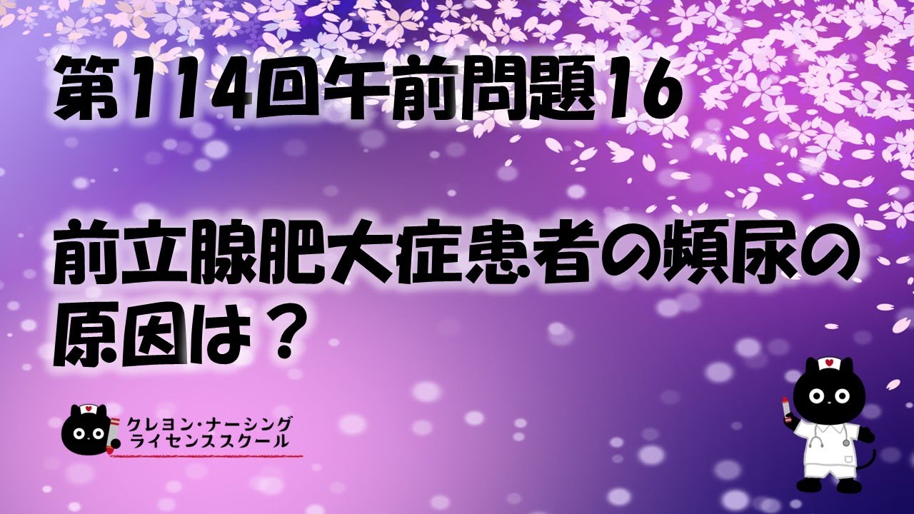 医師国家試験問題解説 113回、114回、115回　3年分セット☆ 81dzS-457vL._AC_UL210_SR210,