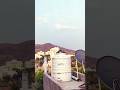Pigeon love story #funny #song #pigeon #love #story #anime #travel #happy #trending #meme #viral