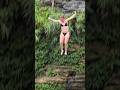 The dive dive explores the pristine waterfall #travel #waterfall #nature