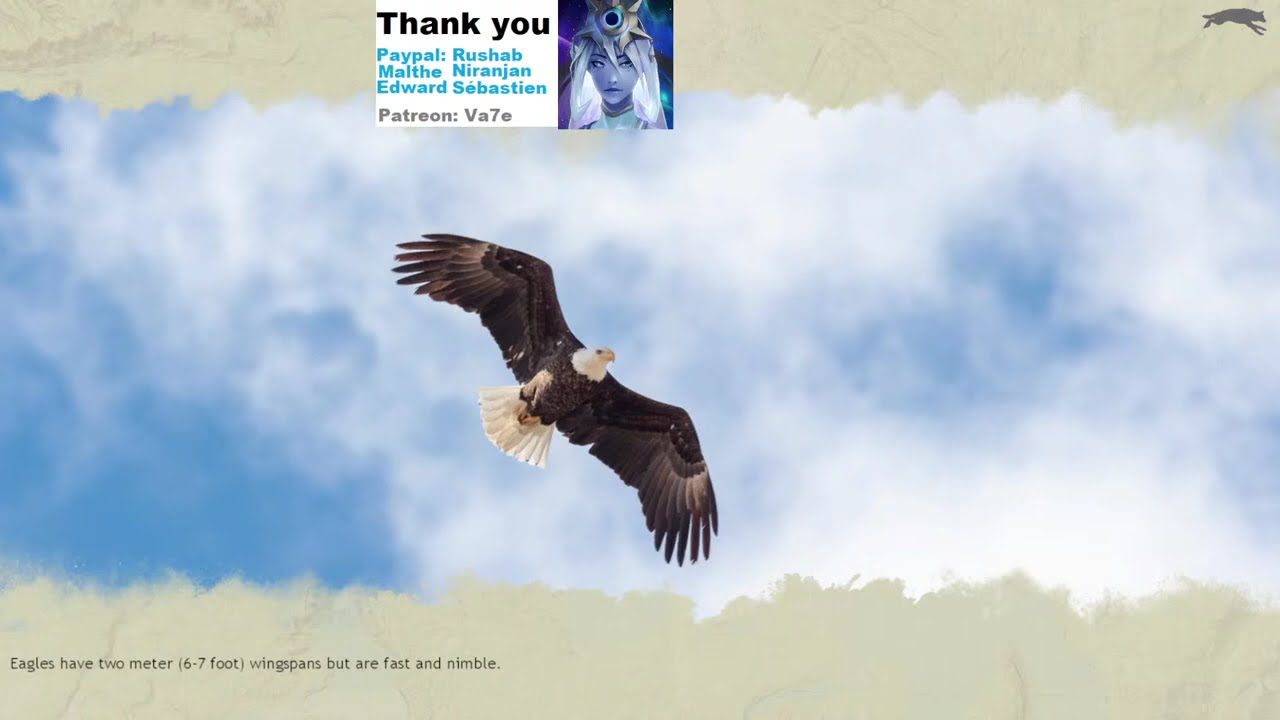 WQAE - Six With [2 pups] For Eid al-Fitr [Holiday Rep] (No Mic)