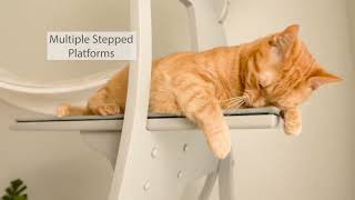 Lotus Cat Tower from The Refined Feline - 30 Second Spot