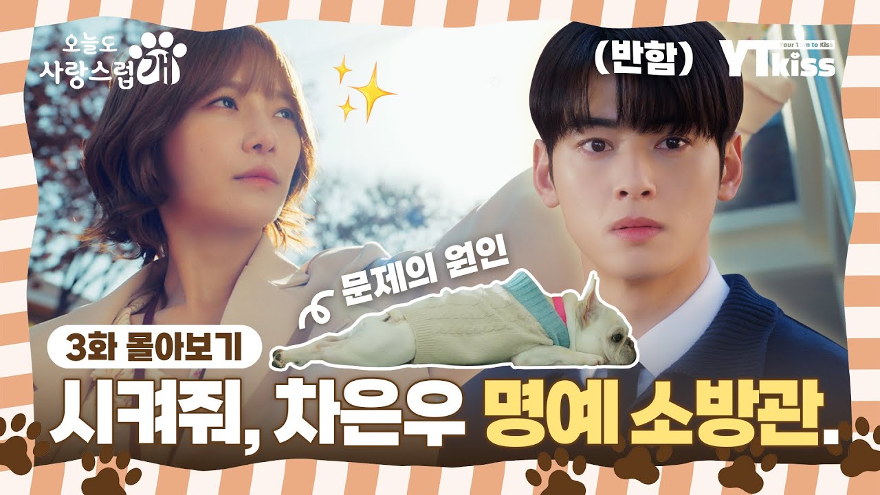 [#오늘도사랑스럽개] 3화 몰아보기 | 시켜줘, 차은우 명예 소방관💖