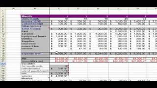 Spreadsheet Variables 1