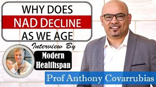 Why NAD Declines As We Age | Prof Anthony Covarrubias Interview Series Ep2 Content
