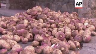 Raw: Town Marks Festival By Throwing Turnips