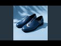 Shoes of the Moon