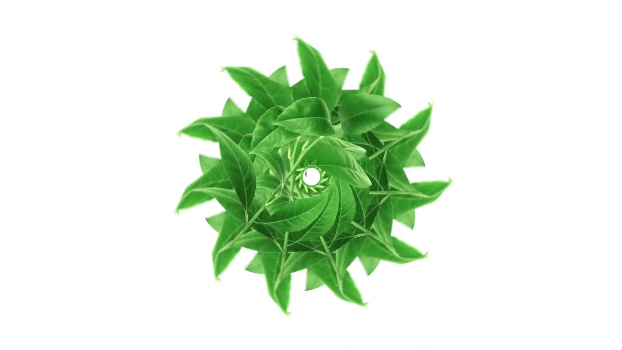 Vicunha Europe - Sustainability