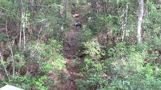 3D Course/ Range Layout In South Carolina