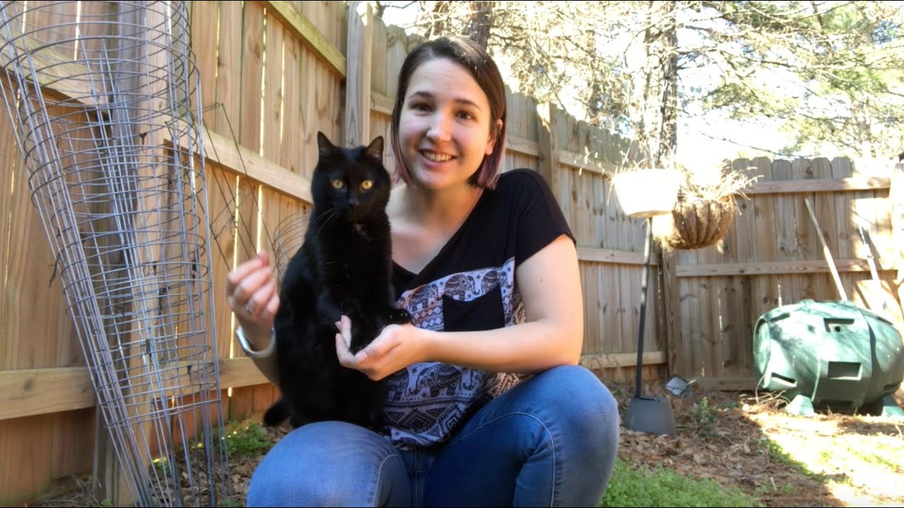 Single Seed Challenge 2020 | Part 1, Planting