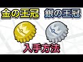 【ポケモンSV】きんのおうかん＆ぎんのおうかん入手方法