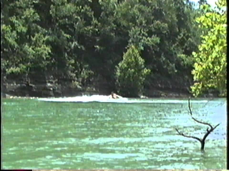 Summer Vacation Conley Bottom_part 2 YouTube