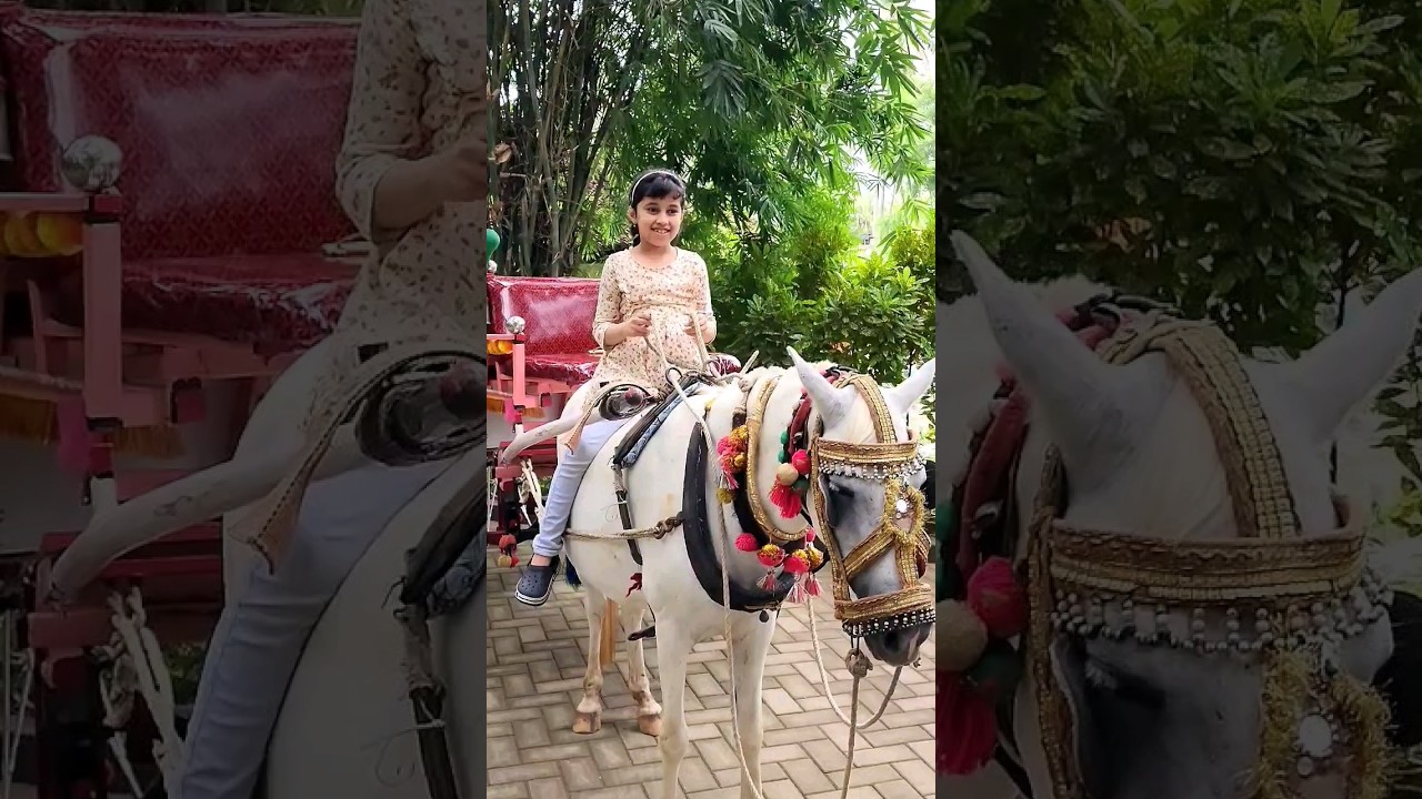 Dindi Village Resorts2😍